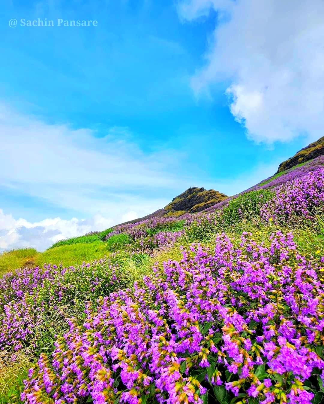 Ratangad Fort Trek 2026
