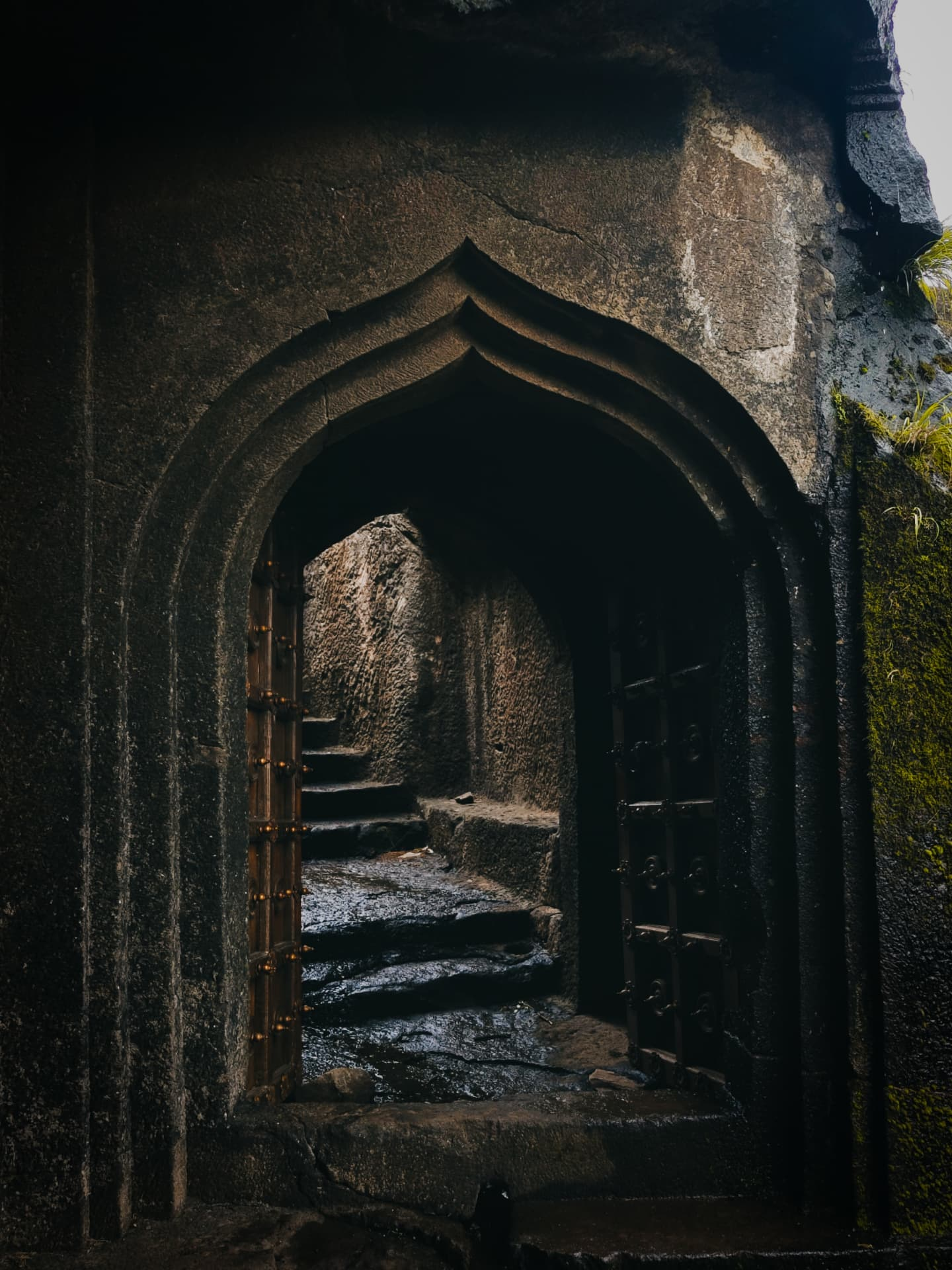 Sahyadri Treks and Tours | Monsoon Treks, Valley Crossings, and ...